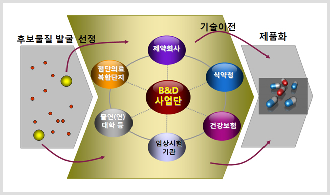 후보물질 발굴선정->B&D사업단[제약회사+첨단의료복합단지+출연(연)대학 등+ 임상시험 기관 + 건강보험 + 식약청]-> 기술이전-> 제품화