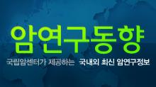 암연구동향