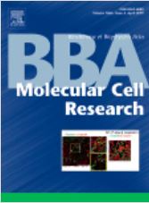 Upregulation of transforming growth factor-beta type I receptor by interferon consensus sequence-binding protein in osteosarcoma cells