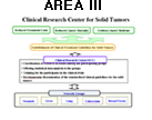 AREA III