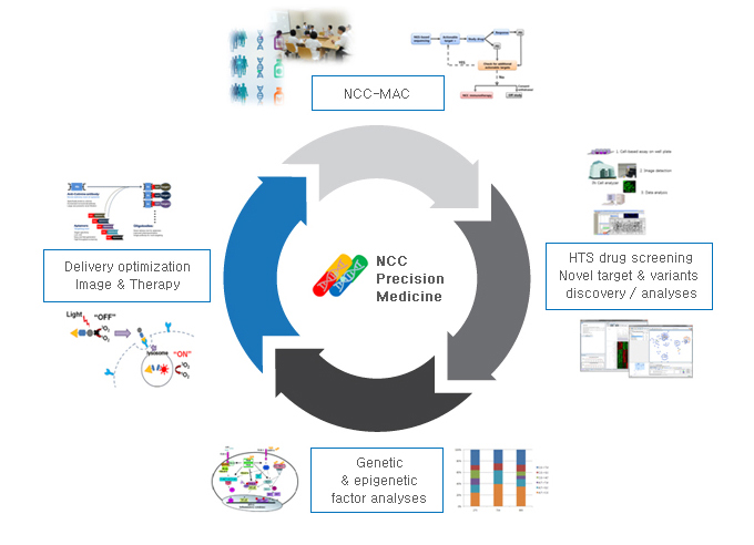 Precision Medicine image