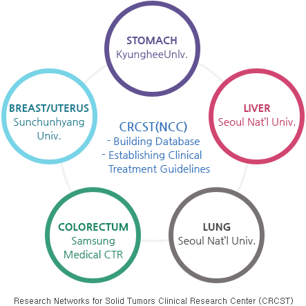 CRCST(NCC)(Building Database,  Establishing Clinical,Treatment Guidelines), Stomach(Kyungheeunlv), liver(seoul nat’l univ), lung(seoul nat’l univ), Colorectum(samsung medical ctr), Breast/uterus(Sunchunhyang Univ) Research Networks for Solid Tumors Clinical Research Center (CRCST)