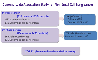 Genome-wide Association Study for Non Small Cell Lung cancer, 1st Phase Screen(817 cases vs1570 controls). 452 Adenocarcinomas. 115Squamous cell carcionmas → 5.0K(Affymetrix), Call rate > 97%mControl HWEP < 10⁴2nd Phase Screen(504 cases vs1470 controls). 569 Adenocarcinomas. 235 Squamous cell carcionmas → 176SNPs(Invader Assay), Mnimum Pvalue < 10⁴