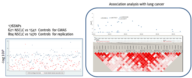 176SNPs,621 NSCLC vs 1541 Controls for GWAS,804 NSCLC vs Controls for replication, Association analysis with lung cancer