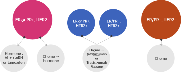 Hormone : AI ± GnRH or tamoxifen/ER or PR +, HER2 -/ chemo->hormone /ER or PR +, HER2 +/ER/PR -, HER2 +/Chemo->trastuzumabOr Trastuzumab/taxane/ER/PR -, HER2 -/chemo