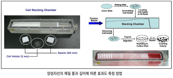 양성자선의 매질 통과 깊이에 따른 효과도 측정 방법