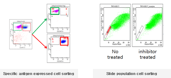 Specific antigen expressed cell sorting, Slide population cell sorting
