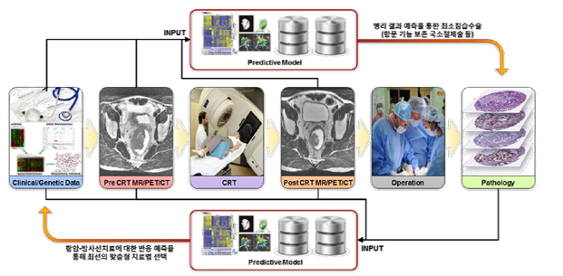 predictive Model-병리결과 예측을 통한 최소침습수술(항문 기능 보존 국조절제술 등)-predictive Model-항암-방사선치료에 대한 반응 예측을 통해 최선의 맞춤형 치료법 선택