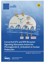 Targeting TJP1 attenuates cell-cell aggregation and modulates chemosensitivity against doxorubicin in leiomyosarcoma