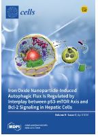 A regulatory noncoding RNA, nc886, suppresses esophageal cancer by inhibiting the AKT pathway and cell cycle progression