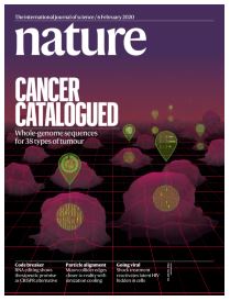 The application of 3D-printing technology in pelvic bone tumor surgery