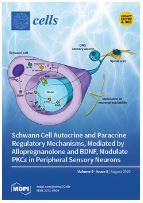 Homeoprotein Msx1-PIASy Interaction Inhibits Angiogenesis