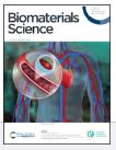 Quenched cetuximab conjugate for fast fluorescence imaging of EGFR-positive lung cancers
