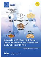 Pattern of Tumor-Infiltrating Lymphocytes in Mixed Epithelial and Stromal Tumor of the Kidney: A Review of Five Cases