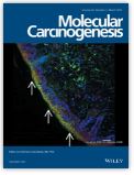 IL-6 and IL-8, secreted by myofibroblasts in the tumor microenvironment, activate HES1 to expand the cancer stem cell population in early colorectal tumor