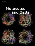 TJP1 Contributes to Tumor Progression through Supporting Cell-Cell Aggregation and Communicating with Tumor Microenvironment in Leiomyosarcoma