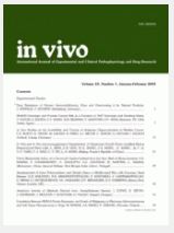 Pelvic Insufficiency Fractures in Cervical Cancer After Radiation Therapy: A Meta-Analysis and Review