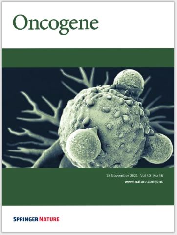 Oncogenic KRAS promotes growth of lung cancer cells expressing SLC3A2-NRG1 fusion via ADAM17-mediated shedding of NRG1