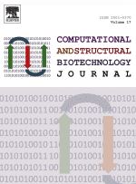 Structural insights into apoptotic regulation of human Bfk as a novel Bcl-2 family member