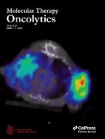 A host non-coding RNA, nc886, plays a pro-viral role by promoting virus trafficking to the nucleus