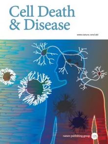 ARL6IP5 reduces cisplatin-resistance by suppressing DNA repair and promoting apoptosis pathways in ovarian carcinoma