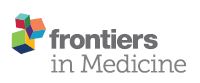 The Positive Effects of Cancer Survivor Support Service on Distress in South Korea: A Nationwide Prospective Study