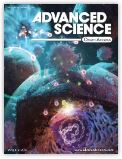 FOXM1 Inhibition Enhances the Therapeutic Outcome of Lung Cancer Immunotherapy by Modulating PD-L1 Expression and Cell Proliferation