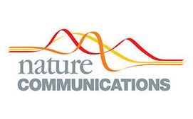 The nucleolus is the site for inflammatory RNA decay during infection