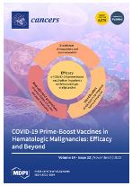 Clinical Efficacy of Hypofractionated Proton Beam Therapy for Intrahepatic Cholangiocarcinoma