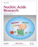 NSrp70 is a lymphocyte-essential splicing factor that controls thymocyte development