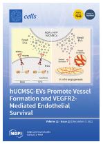 Pro- and Anti-Tumoral Factors Involved in Total Body Irradiation and Interleukin-2 Conditioning in Adoptive T Cell Therapy of Melanoma-Bearing Rag1 Knock-Out Mice