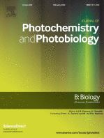 Synergistic effects of concurrent photodynamic therapy with indocyanine green and chemotherapy in hepatocellular carcinoma cell lines and mouse models