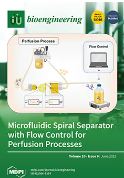 Biocompatible MgFeCO3 Layered Double Hydroxide (LDH) for Bone Regeneration-Low-Temperature Processing through Cold Sintering and Freeze-Casting