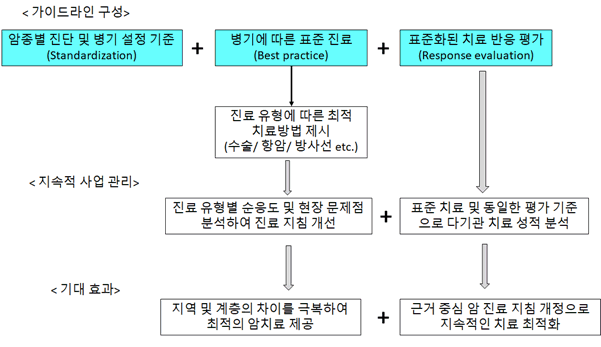 근거 기반의 암 진료 가이드라인 프로세스