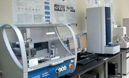 MassArray System (Sequenom )