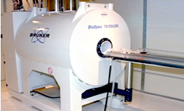 소동물용 MRI (7T BioSpec 70/20USR, Bruker)