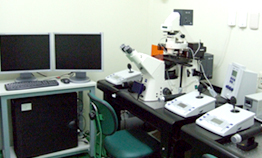 수정란 미세조작 장치(High Resolution DIC Microinjection System)