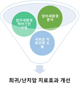 희귀/난치암 치료효과 개선(암미세환경 제어기전 규명, 암미세환경분석, 새로운 치료전략 도출)