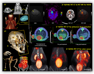 소동물 PET-CT