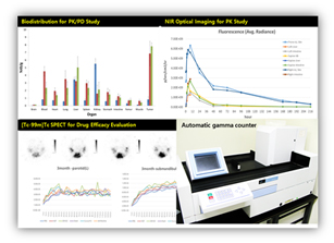 Biodistribution (%ID/g) & PK/PD study