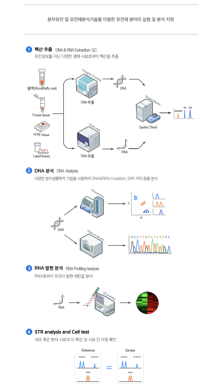 핵산 추출, DNA 분석, RNA 발현 분석, STR analysis and Cell test