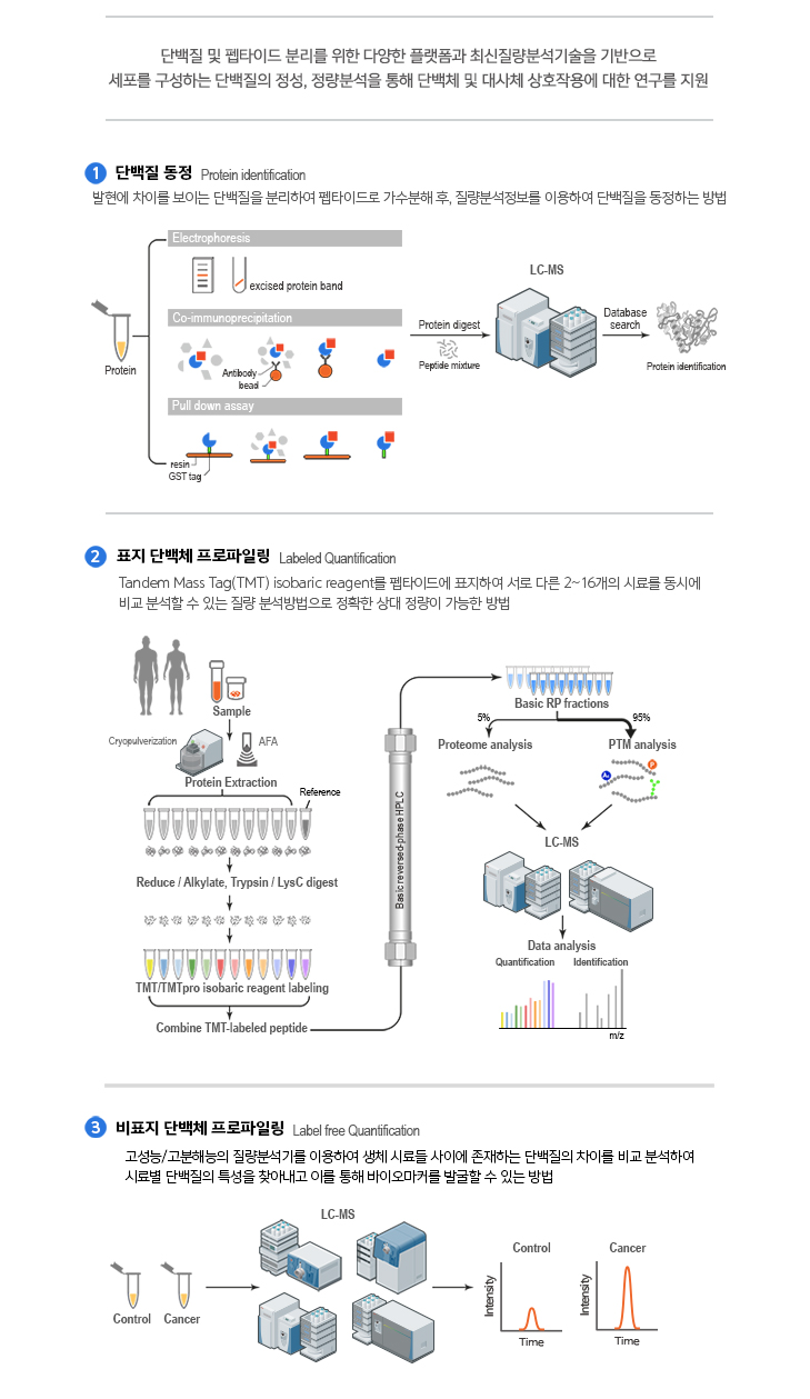 단백질 동정, 표지 단백체 프로파일링, 비표지 단백체 프로파일링