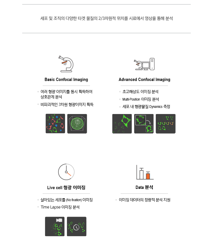 세포 및 조직의 다양한 타겟 물질의 2/3차원적 위치를 시료에서 영상을 통해 분석