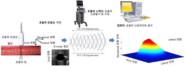 초음파진단기술을 활용한 생체유동측정에 관한 연구