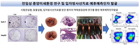 전임상 종양미세환경 연구 및 입자방사선치료 예후예측인자 발굴