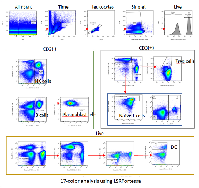 Antigen expression