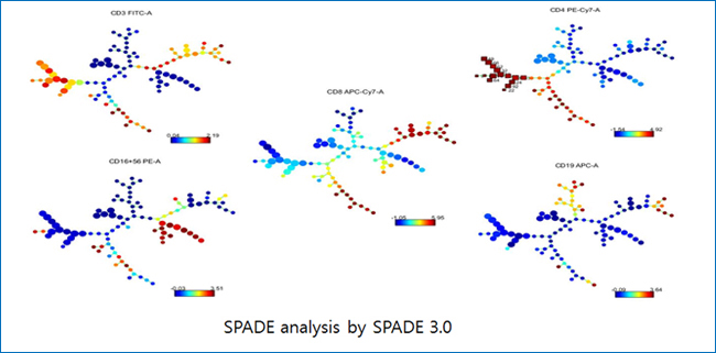 SPADE anslysis by SPADE 3.0