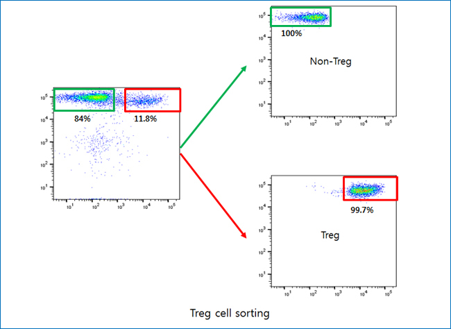 Cell sorting