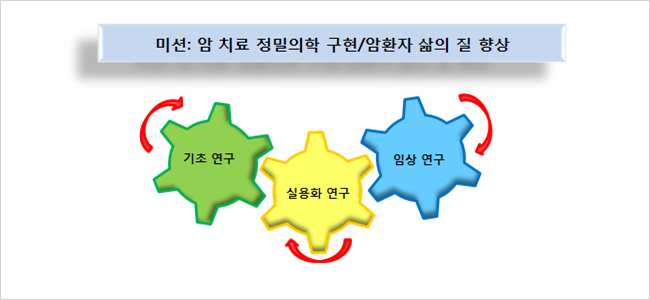미션:암치료 정밀의학 구현 / 암환자 삶의 질 향상 - 기초연구, 실용화 연구, 임상연구