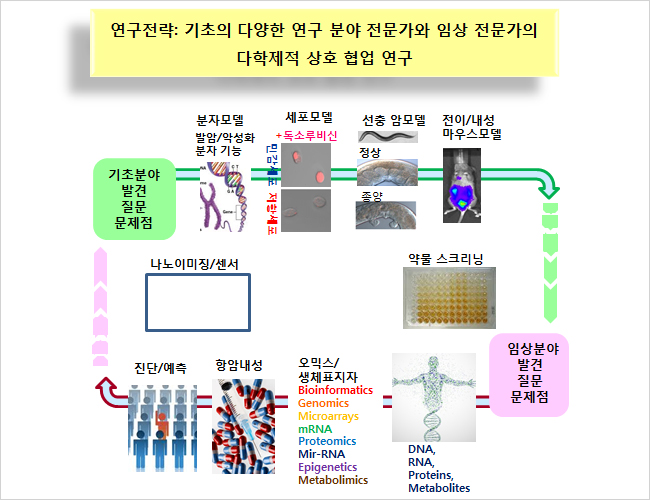 연구전략: 기초의 다양한 연구 분야 전문가와 임상 전문가의 다학제적 상호 협업 연구